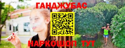 эйфоретик Донской