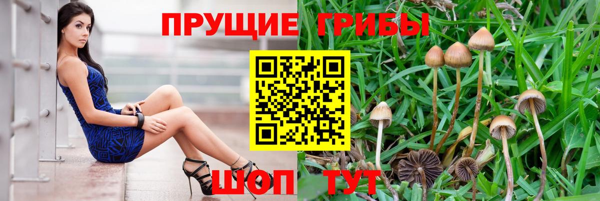Галлюциногенные грибы MAGIC MUSHROOMS  Псилоцибиновые грибы ЛСД  Вход с VPN  Кулебаки 